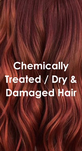 chemically treated / dry & damaged hair